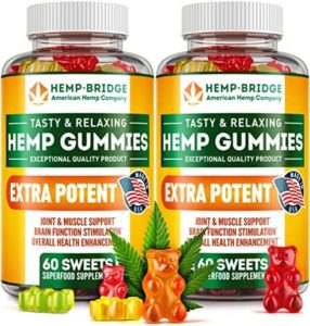 HEMPBRIDGE Hemp Gummies – 2 Pack – Made in United states – Risk-free and Organic Omega 3 Nutritional supplement with Hemp Oil for Soreness and Irritation Aid – Max Benefit in Each and every Gummy – Vitamins B & E and Omega 3, 6, 9